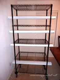 Can't you just hang them from the ceiling? Pin By David Delgado On Microgreens Indoor Vegetable Gardening Growing Tomatoes Growing Tomatoes In Containers