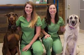 4 paws farewell mobile pet hospice and home euthanasia. Contact Patton Chapel Animal Clinic Veterinarian In Hoover Al