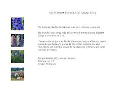 Vivero Acope Plantas Solidarias Petunia Hybrida Generosa Planta