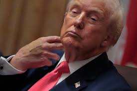 Ann Arbor for Democracy (@AnnArborForPete)