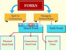 This means that participants that did not upgrade to the new software will bitcoin is also in the midst of 2 hard forks, which is explained here: Everything You Need To Know About Blockchain Forks Hard Fork And Soft Fork