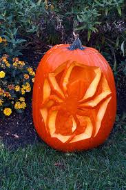Maybe you would like to learn more about one of these? Spider Jack O Lantern Photograph By Sally Weigand