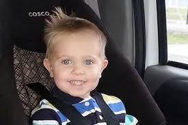 Boy aged 3 dies after being kicked by horse in tragic farm accident