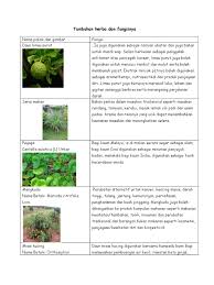 Darah tinggi sembuh dalam 10 menit (100% ampuh) obat darah tinggi informasi di video ini adalah untuk tujuan. Tumbuhan Herba Dan Fungsinya