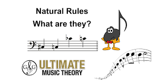 A pattern of sounds made by musical instruments, voices, or computers, or a combination dictionary. Natural Rules Ultimate Music Theory