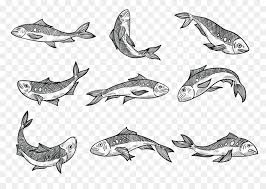 Please remember to share it with your friends if you like. Sarden Gambar Ikan Gambar Png