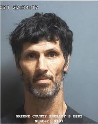 Greene County Jail Log