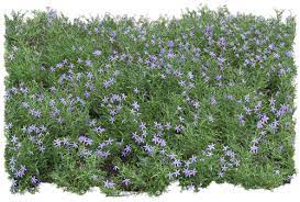 Gify Animacja Obrazki Png Zielono I Wiosennie Photoshop Landscape Plant Illustration Landscape Projects