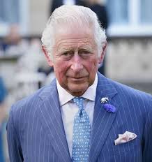 Daniela Elser: King Charles's nightmare as royal signs up to do I'm a  Celebrity