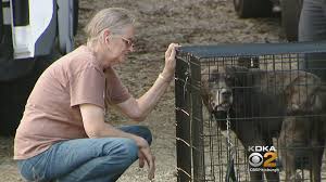 We're dog lovers who take stand. Humane Agents Raid Suspected Puppy Mill In Washington County Cbs Pittsburgh