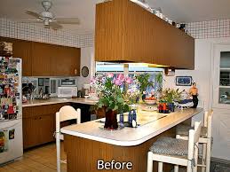 sarasota kitchen cabinets