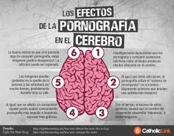 Infografía: Los efectos de la pornografía en el cerebro | Catholic-Link
