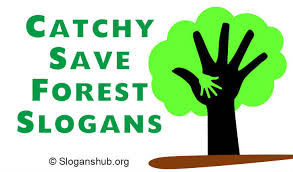 What are some creative tree planting slogans? 50 Catchy Save Forest Slogans
