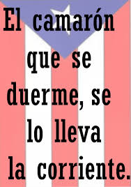 Refranes Puerto Rican Actresses Spanish Quotes Spanish Expressions