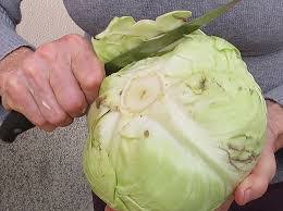 Retete varza murata la butoi pentru iarna. Varza Murata Pentru Iarna Gustoase Net