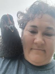 My favorite chicken. Baby sits