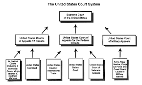 Us Court System State Court Supreme Court United States