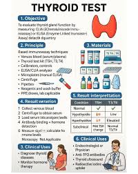 Image result for Thyroid Function Test