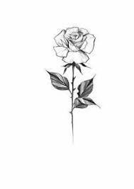 White Background Tattoo For Man And Woman Rose Stem Tattoo Small Rose Tattoo White Rose Tattoos