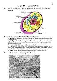 We did not find results for: 2 3 Eukaryotic Cells Notes