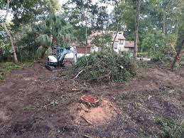 Land Clearing - Mills Creek Services - Callahan, FL - (904) 414-5129