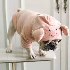 French Bulldog Plush Pig Hoodie French Bulldog Clothes French Bulldog Funny French Bulldog Puppies