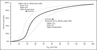 oxygen carbon dioxide gas exchange and transport in