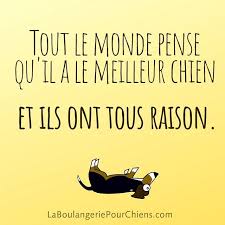Pour ce qui est du texas, les résultats sont pour l'instant là… l'expérience a, ou devrait avoir, rendu tout le monde humble. Tout Le Monde Pense Qu Il A Le Meilleur Chien Et Ils Ont Tous Raison Citation Citations Chien Beagle Beagles Be Citation Chien Chien Citation Animaux