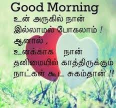 Tamil Love Good Morning Images Hd Download Flirty Good Morning Quotes Morning Quotes Funny Good Morning Quotes