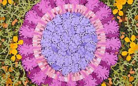 This presentation deals with what, why, how, where and who of pdb. Protein Data Bank Archive Adds New Coronavirus Protease Structure
