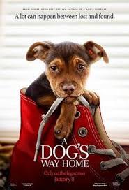 L Incroyable Aventure De Bella Streaming Vf Film Complet Hd L Incroyableaventuredebellaenstreaming L Incroyablea Dog Movies Free Movies Online Full Movies