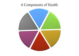 A budget can be applied to both your personal and professional finances, allowing both individuals and businesses to make bette. 6 Components Of Health Diagram Quizlet