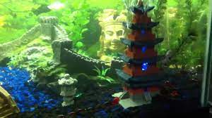 If i had a bigger tank ( or rather another spare one, would do the bridges, temples, gong, bamboo, etc. Pin On Aquariumagic