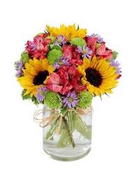 Daisies are thought of as the floral archetype and are often the first thing children learn to draw. Scott S House Of Flowers Scottslawton Profile Pinterest