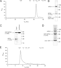 Episode guide for la bloc: Assembly Of The Biogenesis Of Lysosome Related Organelles Complex 3 Bloc 3 And Its Interaction With Rab9 Journal Of Biological Chemistry