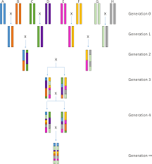 One important characteristic of integration solutions is that, as they are the intermediate through which all other systems are. Aab Invited Review Genetic And Genomic Mouse Models For Livestock Research