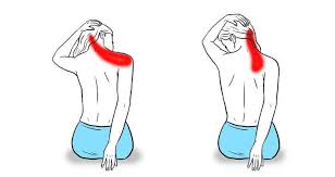 11 Stretches To Relieve Neck And Shoulder Tension Shoulder Tension Neck And Shoulder Stretches Shoulder Stretches