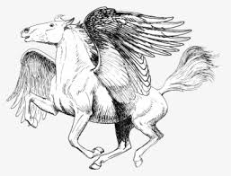 Coloring pages for kids pegasus coloring pages. Pegasus Black And White Drawing Realistic Pegasus Coloring Pages Hd Png Download Kindpng