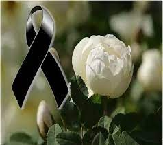 Imagenes De Flores Blancas De Duelo Imagenes De Flores Imagenes De Condolencias Rosas Blancas