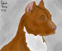 São animações para tv, cinema, literatura que contam com cães de todos os tipos, de raça definida. Cachorro Pitbull Desenho De Pedrors70 Gartic