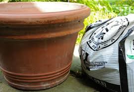 Check spelling or type a new query. Soil Saving Tricks For Planting Big Pots A Way To Garden