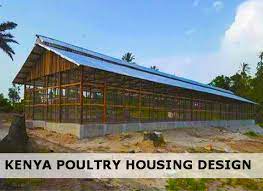 Poultry House Design For 1000 Birds Kenya Poultry House Poultry Farm Design Poultry Farm