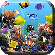 An amazing 3d aquarium live wallpaper featuring real animated fishes and sea corals.in this realistic aquarium background wallpaper. Aquarium Live Wallpaper Apk 1 38 Download Free Apk From Apksum