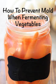 How To Prevent Mold When Fermenting Vegetables Fermented