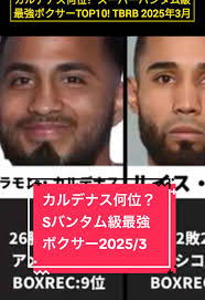 ダスティ ハリソンボクサー