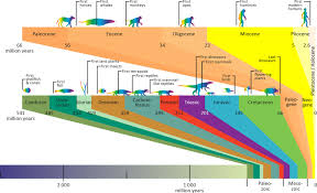 How Is Petroleum Formed Norwegianpetroleum No