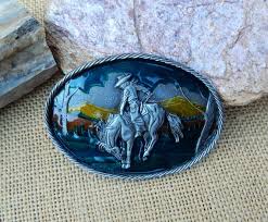 Image result for Silver 1981 Bronco