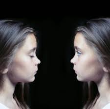 The IQ trap: how the study of genetics could transform education