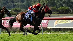 Texan in birthday heaven