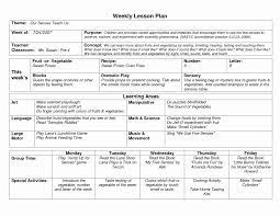 Lesson Plan Template Kindergarten Fresh Naeyc Lesson Plan Template In 2020 Preschool Lesson Plan Template Kindergarten Lesson Plans Template Lesson Plans For Toddlers
